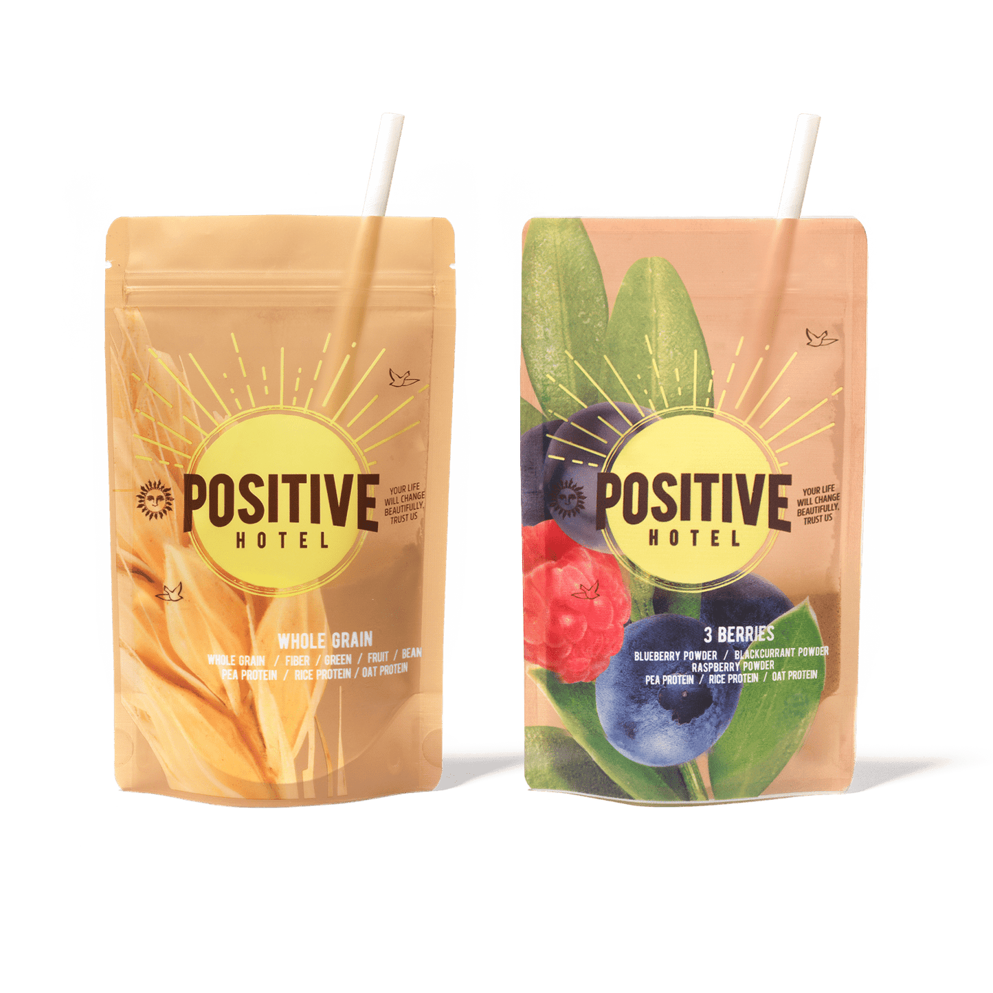 Positive Hotel Plant Proteins POSITIVE PROTEIN SHAKE
